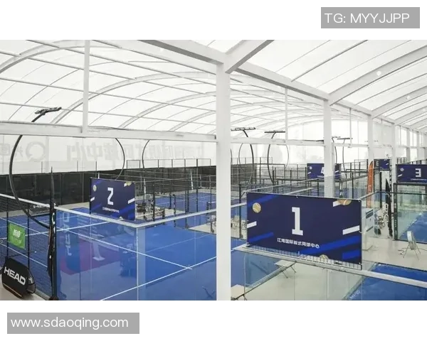 我国板式网球巡回赛湖南站挥拍 意大利华裔组队参赛